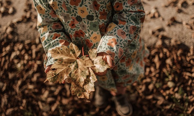 Small child holding a leaf in his hand