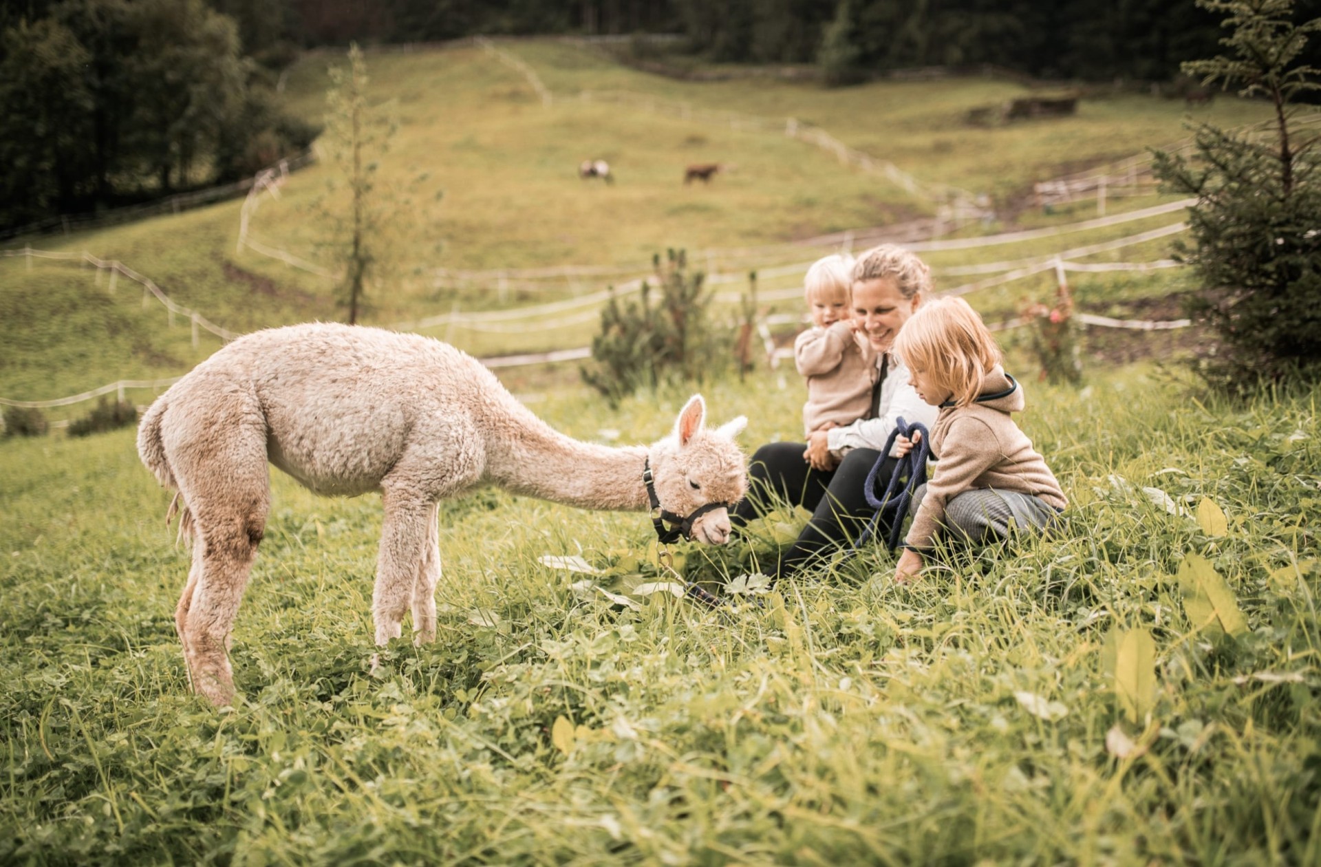 2 Kinder und Mutter sitzen in einer Almwiese mit einem Alpaka