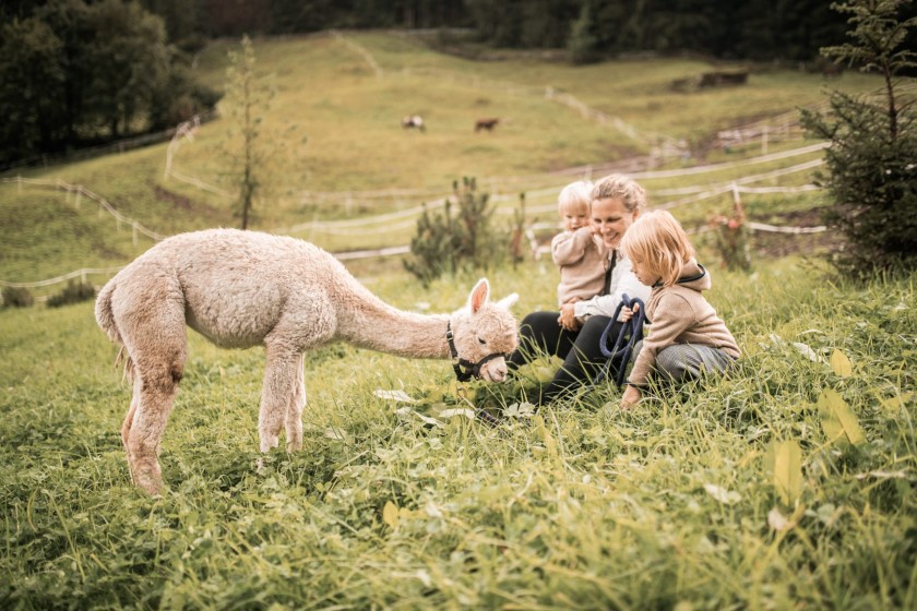 2 Kinder und Mutter sitzen in einer Almwiese mit einem Alpaka