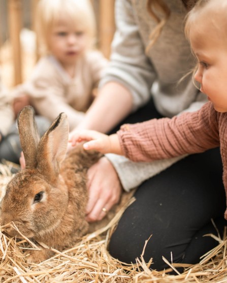 Kleines Mädchen streichelt einen Hasen
