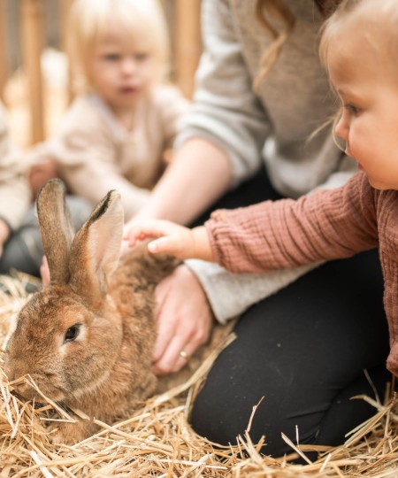 Una bambina accarezza un coniglio
