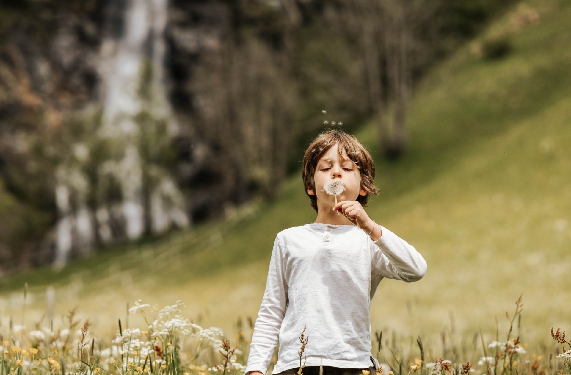 Kind auf der Wiese in der Natur mit einer Pusteblume