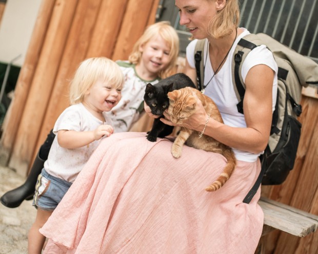 Katzen auf der Feuerstein Farm im Familienhotel Feuerstein in Südtirol