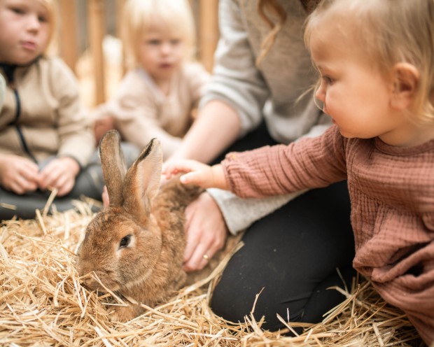 Coniglio accarezzato alla Feuerstein Farm presso il family hotel Feuerstein in Alto Adige