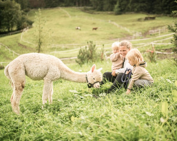 Familie auf der Wiese mit Alpakas auf der Feuerstein Farm im Familienhotel Feuerstein in Südtirol