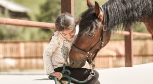 Cavallo e bambina accovacciata