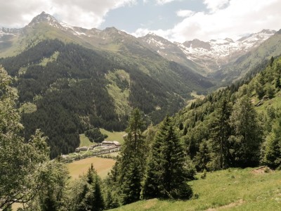 Blick vom Berg Richtung Hotel Feuerstein im Sommer