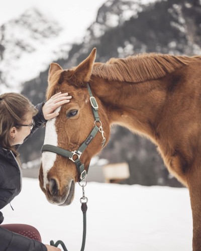 Reitlehrerin streichelt den Kopf des Pferdes