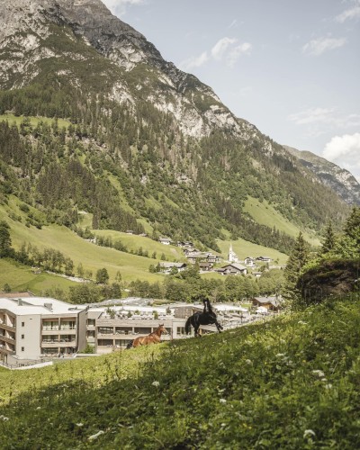 Pferde laufen glücklich durch die Wiese hinter dem Hotel