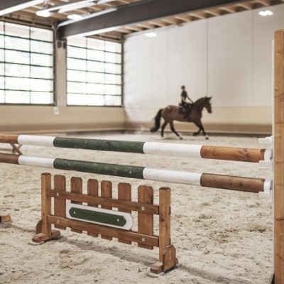 Reitlehrerin und Pferd reiten im Stall