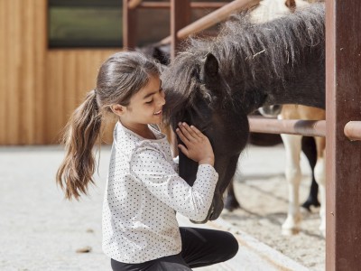 Pferdekopf wird von einem Kind gestreichelt