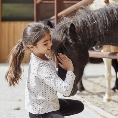 Pferdekopf wird von einem Kind gestreichelt