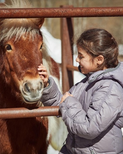 Pferd wird von einem Kind gestreichelt