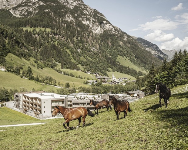 Pferde befinden sich in einer Wiese hinter dem Hotel