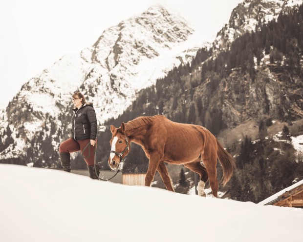 Pferd mit Mensch beim Spazieren