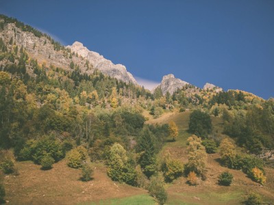 Berggipfel mit Bäume