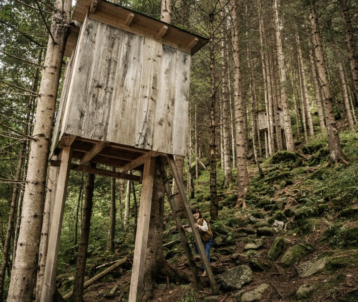 hinter dem Feuerstein Resort befindet sich ein Traumhaftes Baumhaus zum spielen