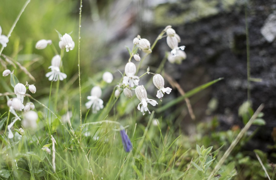 Die Natur spielt eine wichtige Rolle im Familien-Wellnesshotel Feuerstein in Südtirol