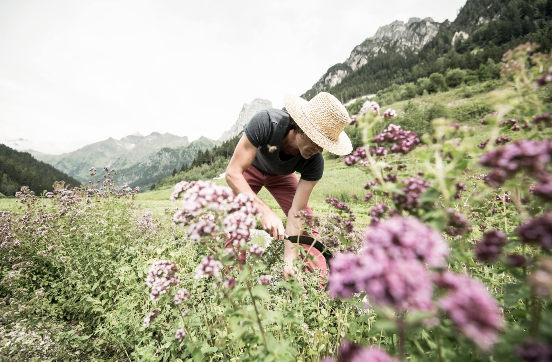 Im Familienhotel Feuerstein arbeiten wir mit regionalen Partnern zusammen: Kräutergarten Wipptal