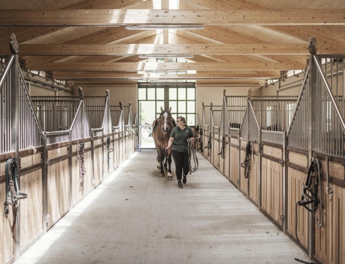Der Pferdestall auf dem Reiterhof des Familienhotel Feuerstein in Südtirol