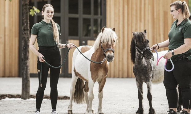 Zwei Reitlehrerinnen mit 2 Ponys