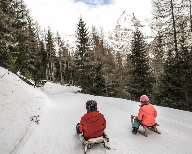Rodeln in der Nähe vom Familienhotel Feuerstein, dem idealen Ort für einen Familienurlaub in den Bergen